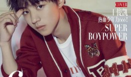 台湾小凯爆料视频大全最新,揭秘娱乐圈幕后真相